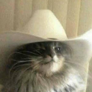 Meet your Posher, Moms